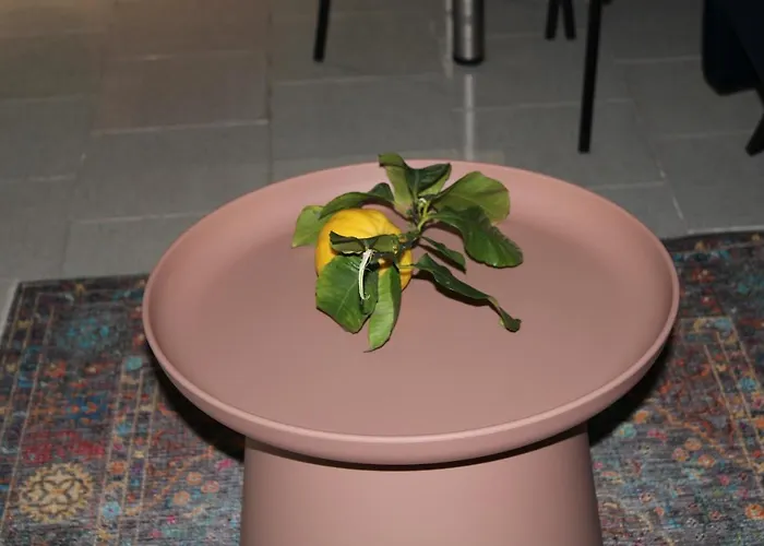 Master Rose In Old Town Ναύπλιο